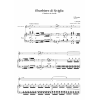 ROSSINI, G.: il barbiere di Siviglia (Flauta y piano)