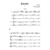 TELEMANN, G.P.: Sonata in F (Flauta solista y Orquesta de flauta