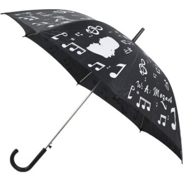 Paraguas baston - Color negro/plata