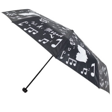 Paraguas plegable - Color negro/plata