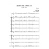 DVORAK, A.: Slavonic Dances (Flute Choir)