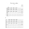 LEHAR, F.: The merry widow (Orquesta de flautas)